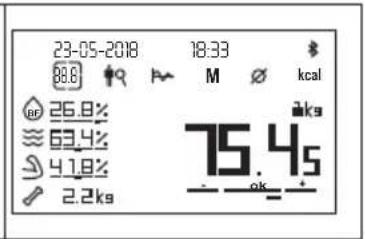 BEURER BF 1000 - General overview - 1