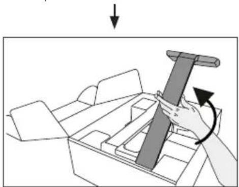 BEURER BF 1000 - Poser le pese-personne - 5