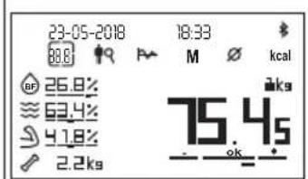 BEURER BF 1000 - Ogólny przyegląd - 1