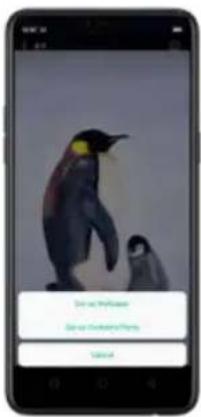 OPPO A3 - Visualiser et utiliser des photos et videoteos - 1