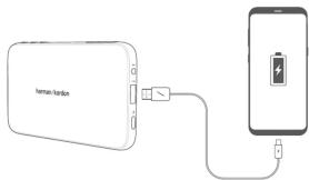 HARMAN KARDON Esquire Mini 2 - 5