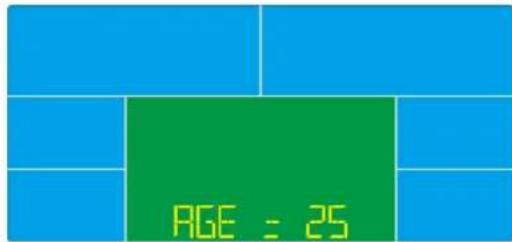 Toorx SRX300 - PROGRAMMES PRE-INSTALLÉS - 16