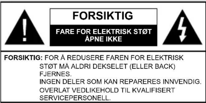 TOSHIBA 43L3863 - Sikkerhetsinformasjon - 1