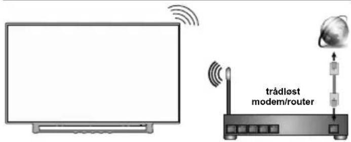 TOSHIBA 43L3863 - Nettverkstilkobling - 2