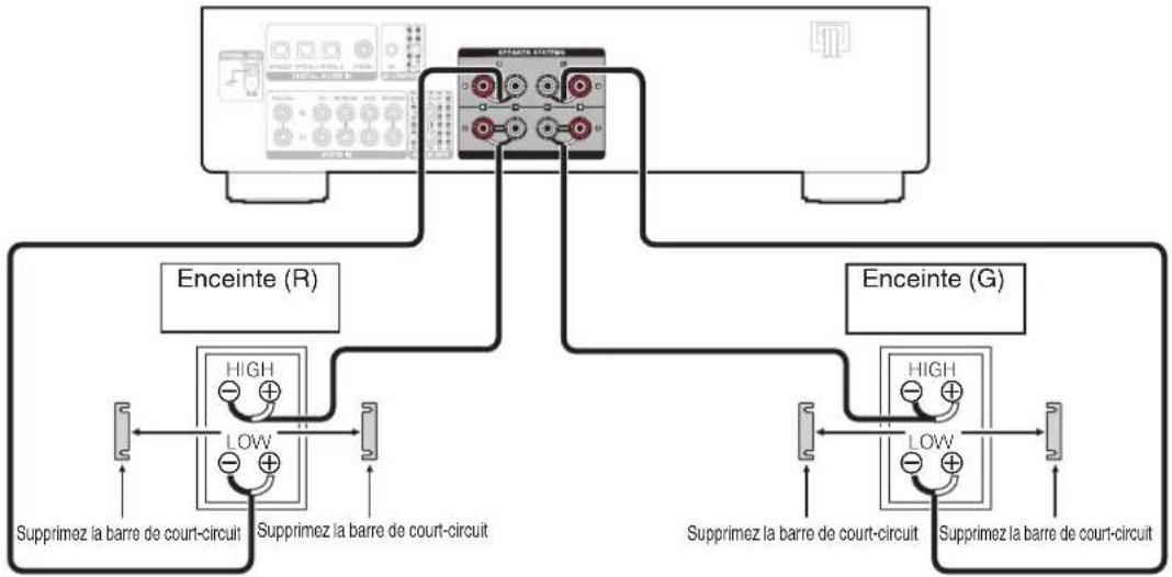 DENON PMA800NE - Connexion à double câblage - 1