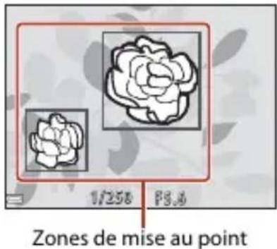 NIKON CoolPix P1000 - Utilisation de AF sur le sujet principal - 1