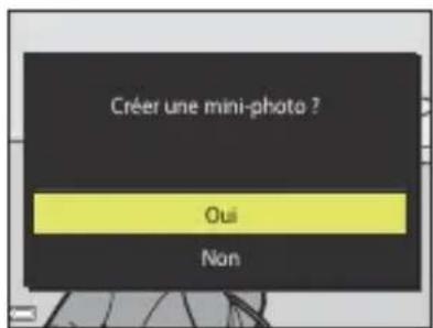 NIKON CoolPix P1000 - Mini-photo : réduction de la taille d'une image - 2