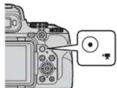 NIKON CoolPix P1000 - Appuyez sur la commande (enregistrement video) pour démarrer l'enregistrement de video. - 1