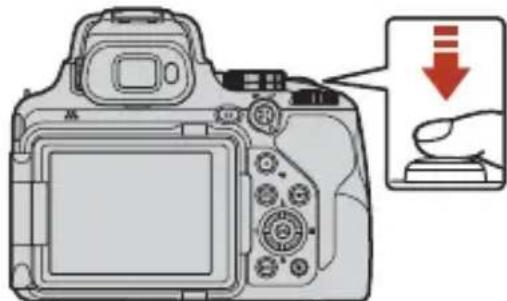 NIKON CoolPix P1000 - Appuyez sur le déclencheur à mi-course. - 1