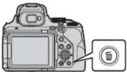 NIKON CoolPix P1000 - Suppression d/images - 1