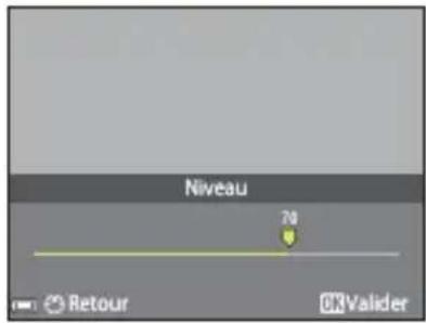 NIKON CoolPix P1000 - Pour ajuster I'effet, appuyez sur - 3