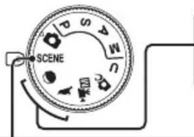 NIKON CoolPix P1000 - Mode Scène (prise de vue adaptée aux conditions de prise de vue) - 1
