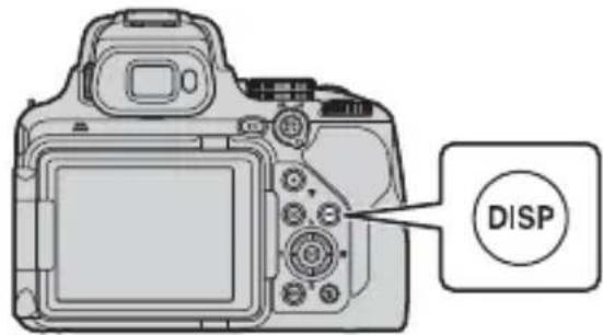 NIKON CoolPix P1000 - Basculement de l'affichage des informations à l'écran (commande DISP) - 1