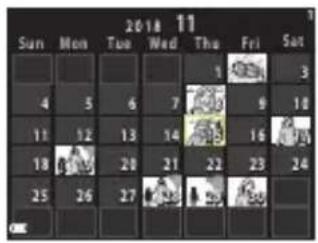 NIKON CoolPix P1000 - Visualisation par planche d'imagettes/Affichage en mode Calendrier - 6