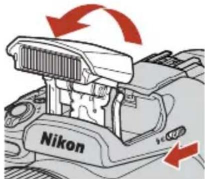 NIKON CoolPix P1000 - Utilisation du flash intégré - 1