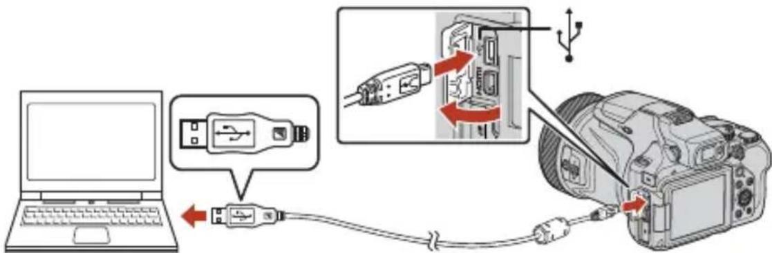 NIKON CoolPix P1000 - Préparez une carte mémoire qui contient des images. - 1
