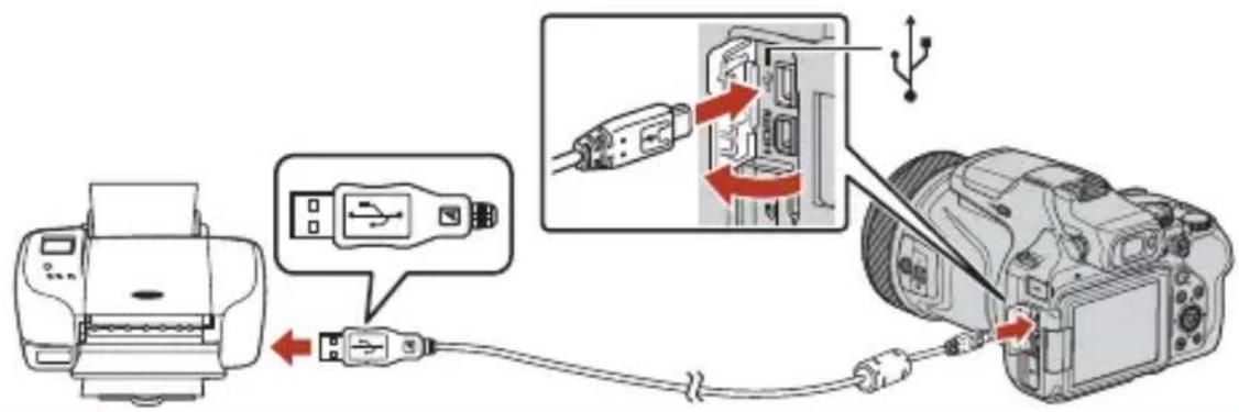 NIKON CoolPix P1000 - Mettez l'appareil photo hors tension et connectez-le à l'imprimante à l'aide du cable USB. - 1