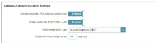 D-LINK COVR2202 - Paramètres avancés - Paramètres de configuration automatique de l'adresse - 1