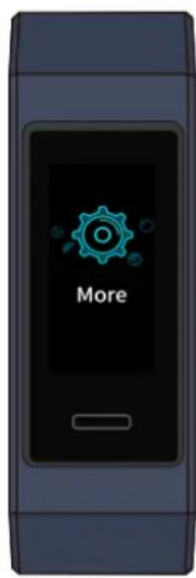 HUAWEI Band 3 Pro - Ré initialiser votre bracelet à ses paramètres d'usine - 2