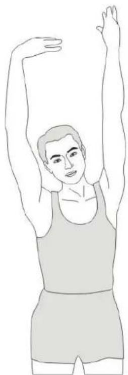 VirtuFit CTR 1.2i - STEP06 - 26