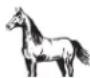 WAHL UClip - GROOMING HORSES - 1