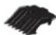 WAHL UClip - BLADE SELECTION GUIDE - 7