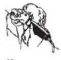 WAHL UClip - La COUPE - 9