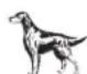 WAHL UClip - COCKERS-SETTERS-SPANIELS - 1