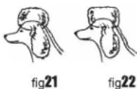 WAHL UClip - Ears - 2