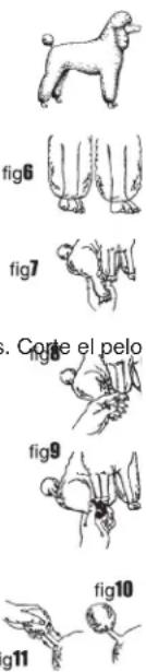 WAHL UClip - Corte de polo del cuerpo - 1