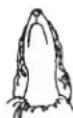 WAHL UClip - CLIPPING - 4