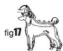 WAHL UClip - Corte de polo del cuerpo - 4