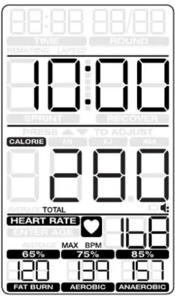 Schwinn Airdyne AD8 - Modalità Pausa / Risultati - 1