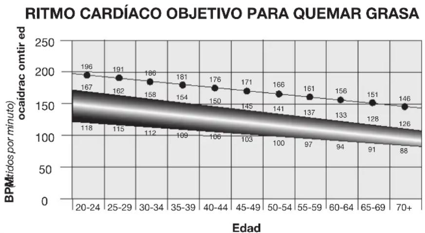 Schwinn Airdyne AD8 - Cálculos de la frecuencia cardíaca - 1