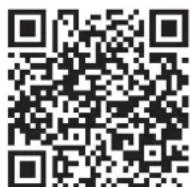 Schwinn Airdyne AD8 - PELIGRO - 1