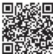 Schwinn Airdyne AD8 - GEFAHR! - 1