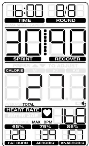 Schwinn Airdyne AD8 - Pausing / Results Mode - 2