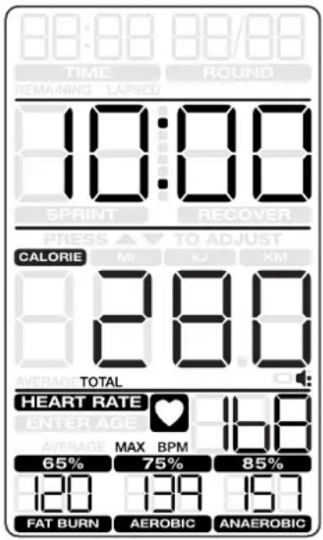 Schwinn Airdyne AD8 - Pauzeren / Resultatenmodus - 1