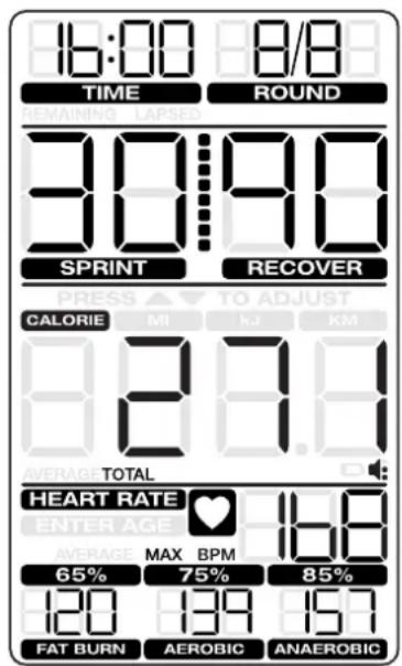 Schwinn Airdyne AD8 - Pausieren / Ergebnismodus - 2
