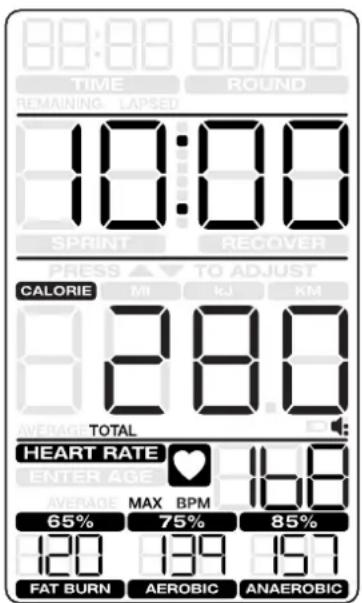 Schwinn Airdyne AD8 - FUNCIONAMENTO - 2