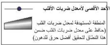 Schwinn Airdyne AD8 - PEÇAS DE MANUTENÇÃO - 4