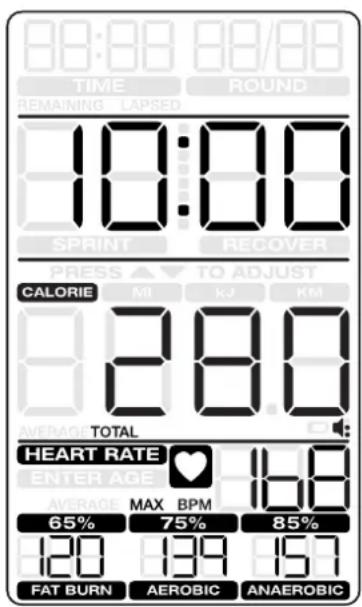 Schwinn Airdyne AD8 - Modo de pausado/resultados - 1