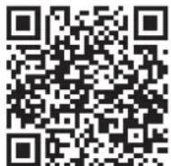 Schwinn Airdyne AD8 - DANGER! - 1