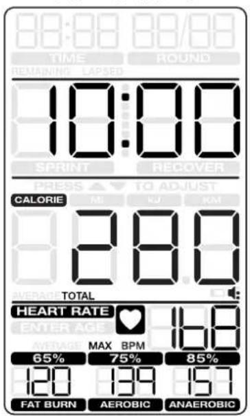 Schwinn Airdyne AD8 - 暫停 / 結果模式 - 1