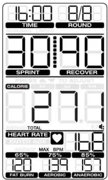 Schwinn Airdyne AD8 - 暫停 / 結果模式 - 2