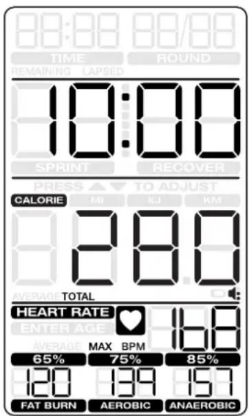 Schwinn Airdyne AD8 - Pausieren / Ergebnismodus - 1