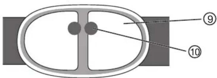 BEURER EM 39 - Denominazione dei componenti - 1
