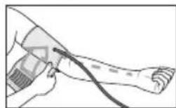 BEURER BM 54 - Colocar el brazalete - 2
