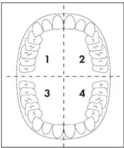 NEVADENT NAZ 2.4 B2 - REMARQUE - 1