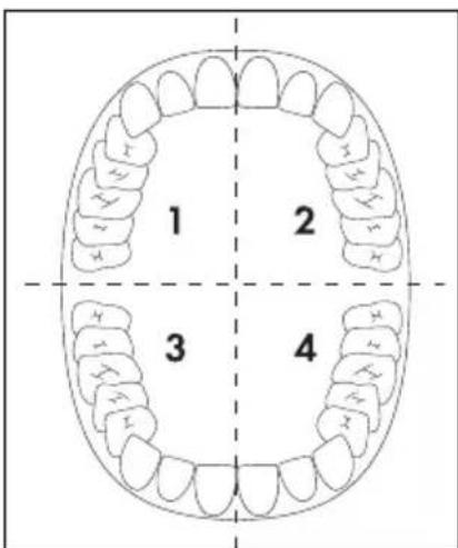 NEVADENT DAZD 3.7 Li A1 - NOTE - 1